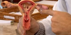 CNPq abre chamada pública para pesquisas sobre endometriose com R$ 60 milhões
