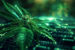 Ease Labs lança IA para apoiar prescrição de cannabis medicinal no Brasil