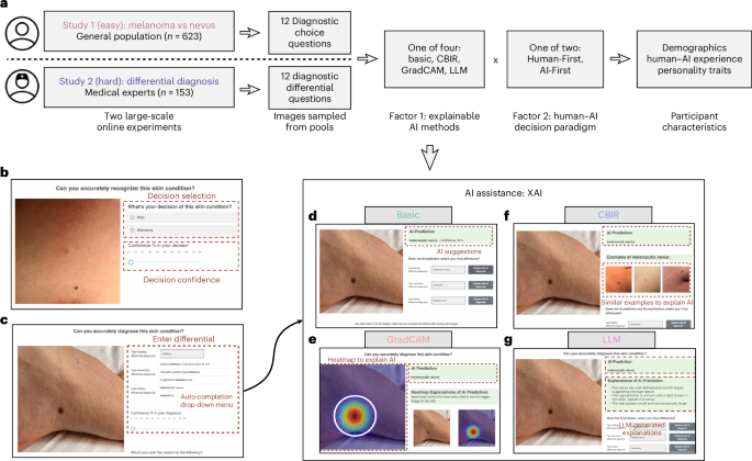 Estudo em Nature Medicine revela impacto divergente da IA explicável no diagnóstico dermat