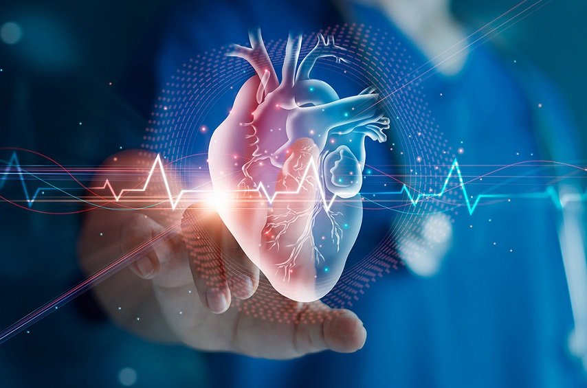 SBC lança plataforma com dados completos sobre mortalidade cardiovascular no Brasil